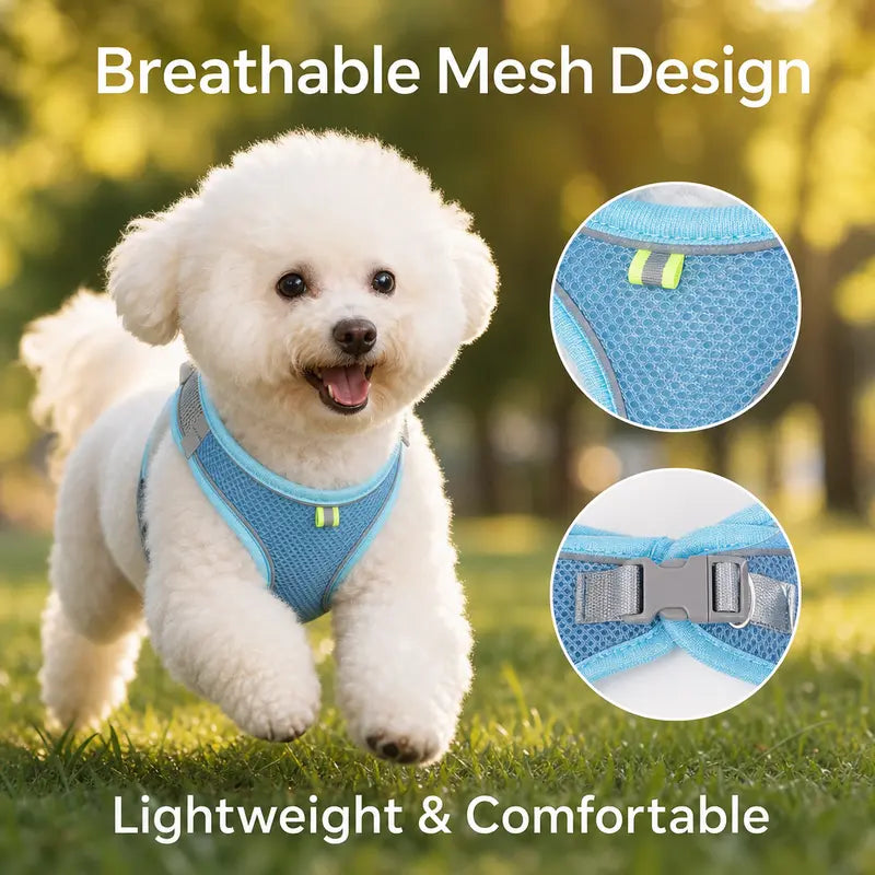 Breathable Mesh Dog and Cat Harness with Leash Set - No-Pull, Escape-Proof Vest with Reflective Strip for Small to Medium Pets - Adjustable Soft Padded Design for Walking and Training