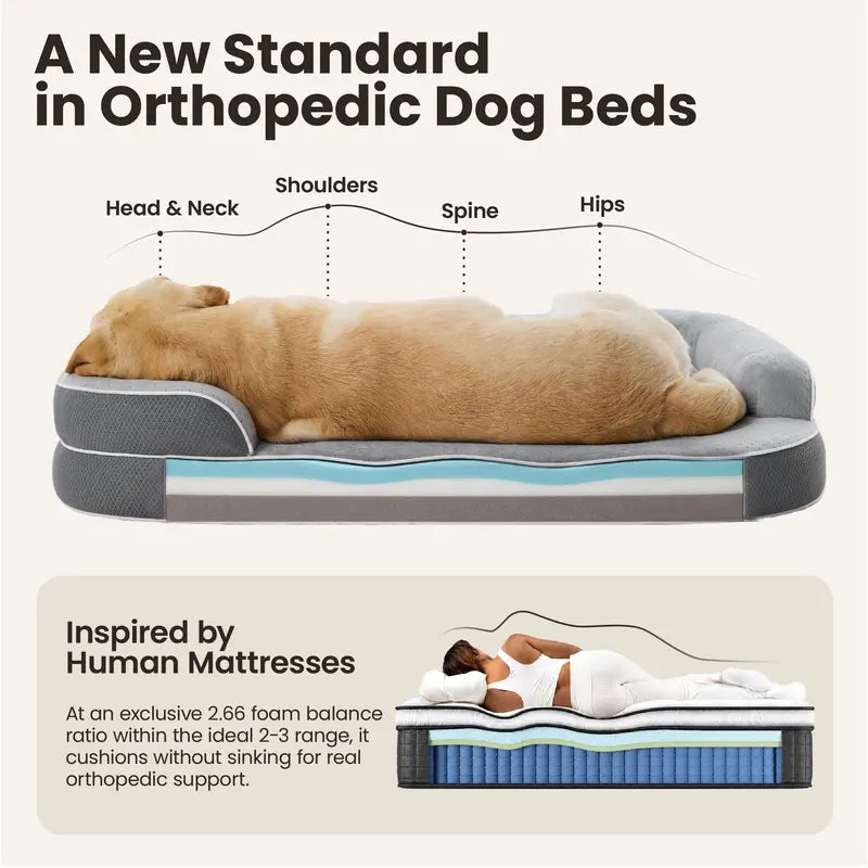Lesure Realortho Orthopedic Dog Bed for Large and Senior Dogs - 3-Layer Premium Memory Foam with Joint Protection, Waterproof Washable Cover, Ideal for Deep Sleep and Comfort