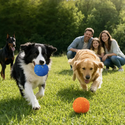 Sovelivee Interactive Plaid Dog Ball - Motion-Activated Automatic Toy, USB-Rechargeable, Silent Mode, Durable Design for Indoor Exercise and Boredom Relief