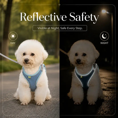 Breathable Mesh Dog and Cat Harness with Leash Set - No-Pull, Escape-Proof Vest with Reflective Strip for Small to Medium Pets - Adjustable Soft Padded Design for Walking and Training