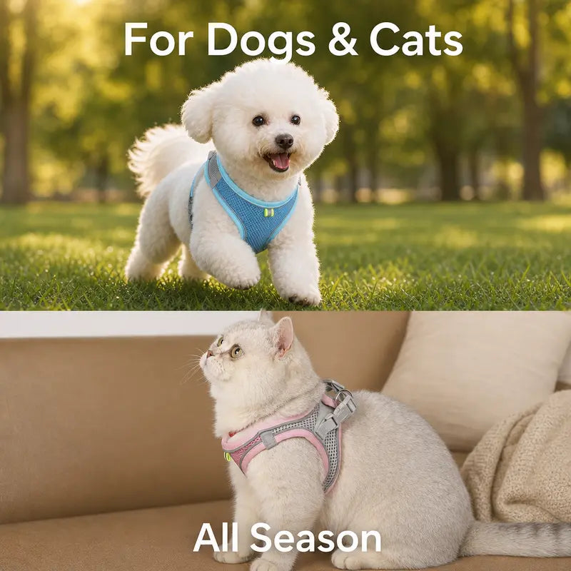 Breathable Mesh Dog and Cat Harness with Leash Set - No-Pull, Escape-Proof Vest with Reflective Strip for Small to Medium Pets - Adjustable Soft Padded Design for Walking and Training