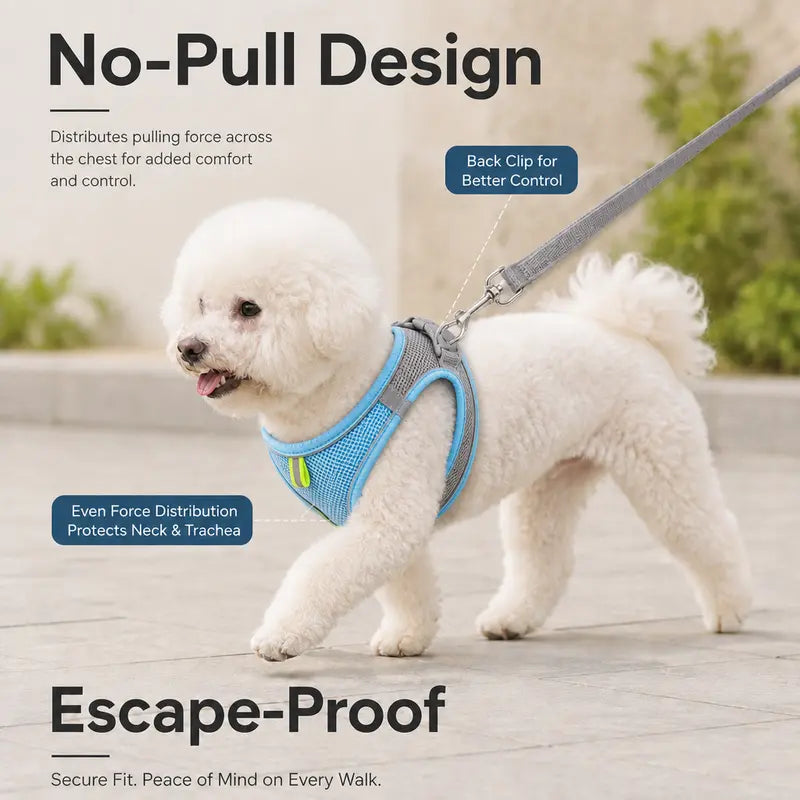 Breathable Mesh Dog and Cat Harness with Leash Set - No-Pull, Escape-Proof Vest with Reflective Strip for Small to Medium Pets - Adjustable Soft Padded Design for Walking and Training